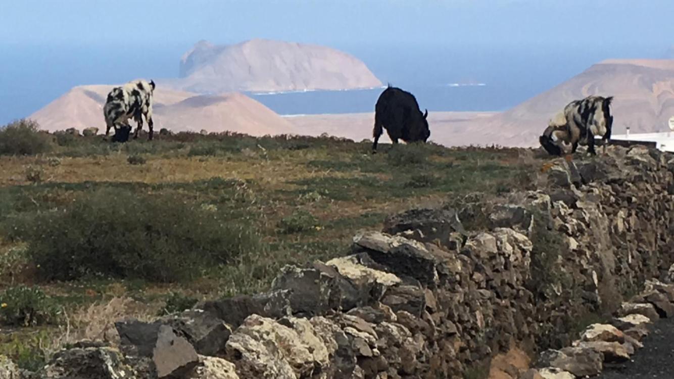 Casa Vereda Del Risco يه المظهر الخارجي الصورة